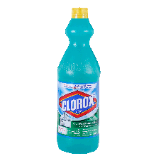 Clorox Multi -Purpose Cleaner 1 L