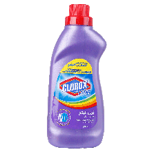 Clorox Clothes Stain Removers 900 ml