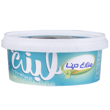 Dina Farms Labna Cheese