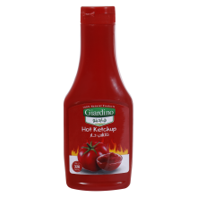 Giardino Hot Ketchup 320 gm